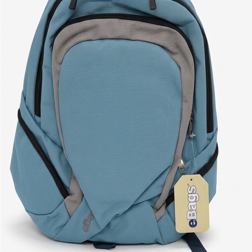 eBags Belcourt Dual Compartment RFID Laptop Backpack NWT
